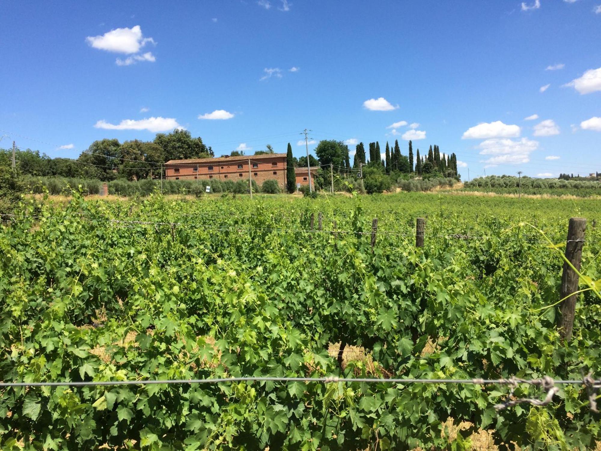 Agriturismo Fattoria Santa Vittoria Pozzo  Екстериор снимка